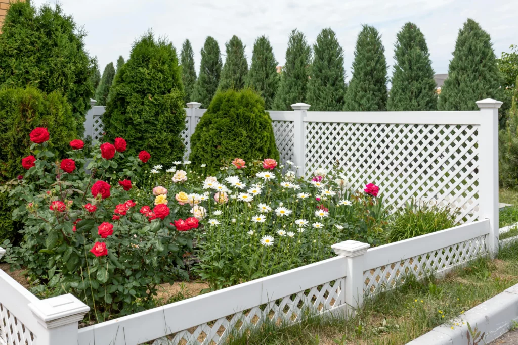 this image shows Romantic Rose Garden